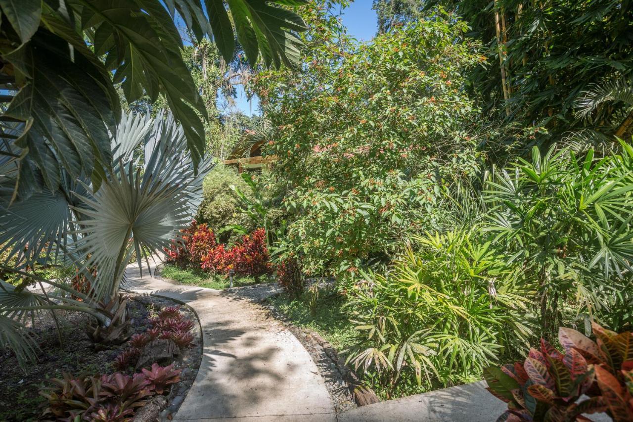 Las Palomas Villas كوكليس المظهر الخارجي الصورة