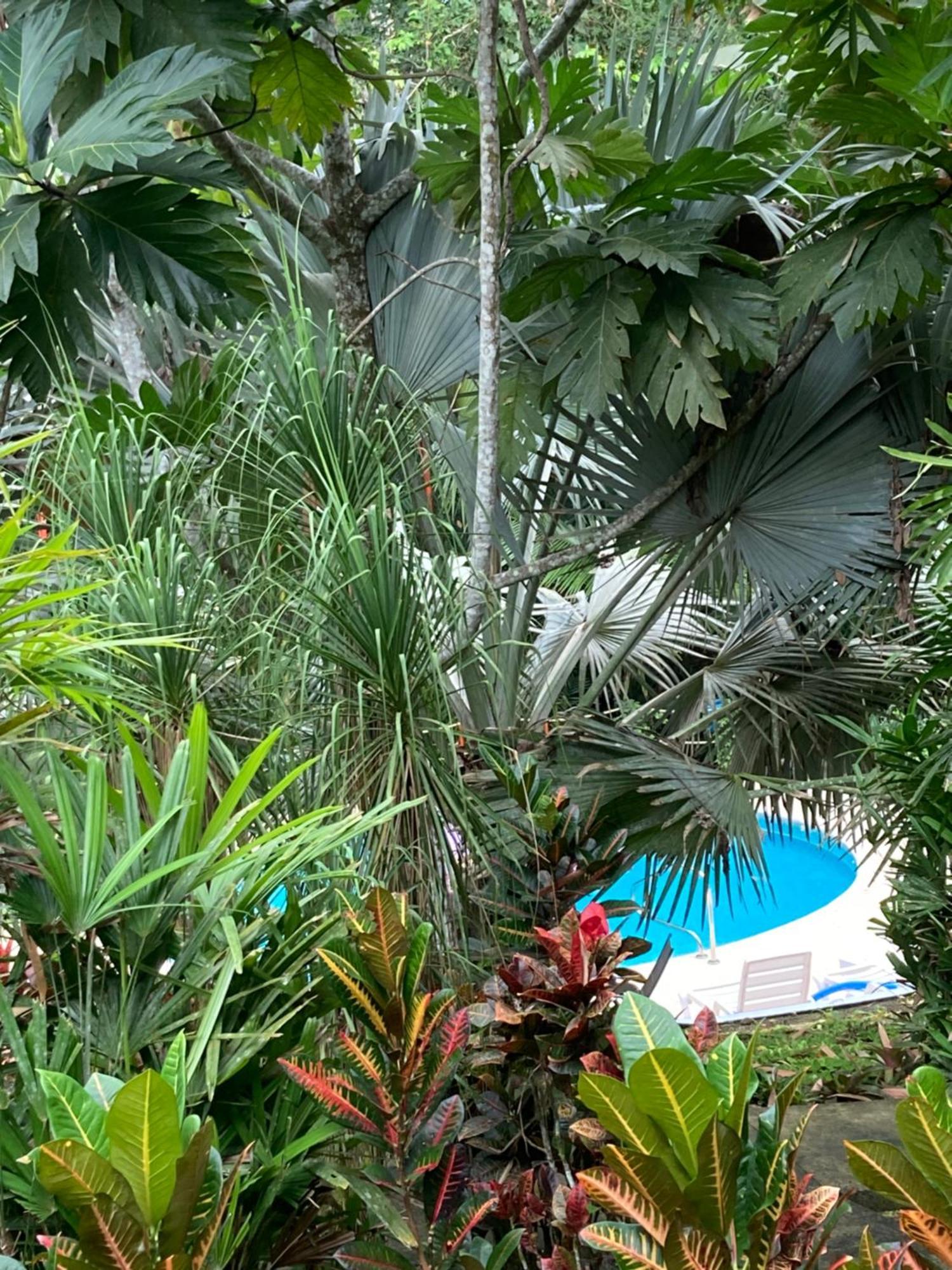 Las Palomas Villas كوكليس المظهر الخارجي الصورة